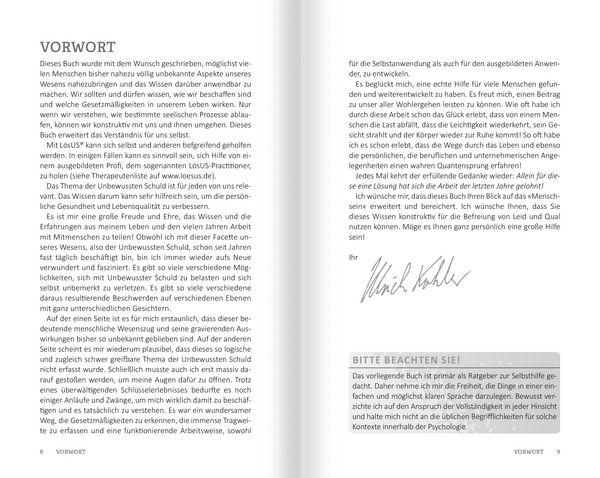 Produktbild: Diese Schuld ist nicht meine