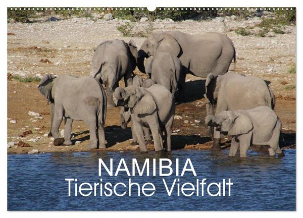 Namibia - Tierische Vielfalt (Wandkalender 2026 DIN A2 quer), CALVENDO Monatskalender