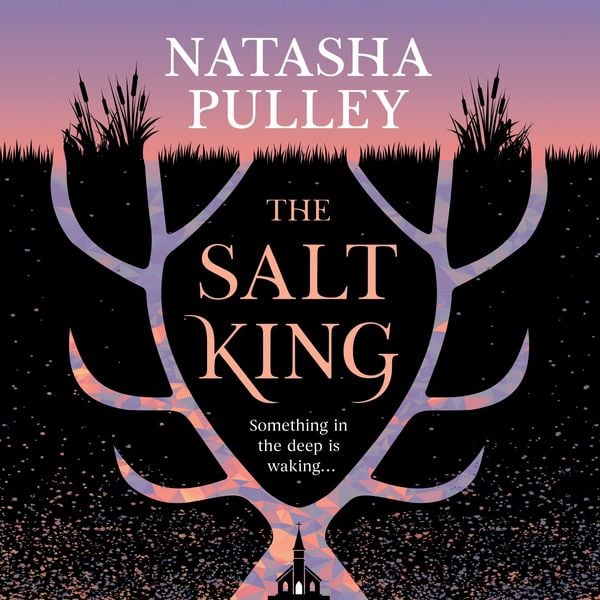 Produktbild: The Salt King