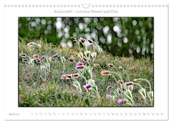 Produktbild: Kaiserstuhl zwischen Himmel und Erde (Wandkalender 2026 DIN A3 quer), CALVENDO Monatskalender