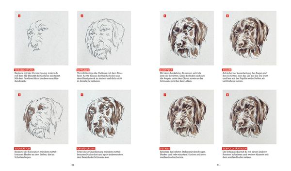 Produktbild: Tiere zeichnen &ndash; Das XXL-Starter-Set: Zwei B&uuml;cher im Bundle