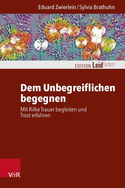 Produktbild: Dem Unbegreiflichen begegnen