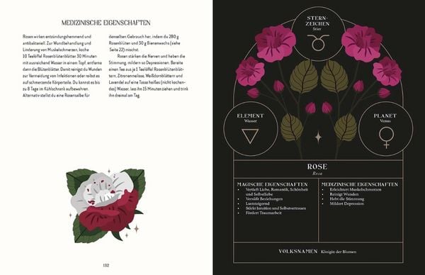 Produktbild: Die Magie und Folklore der Pflanzen und Kr&auml;uter