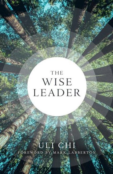 Produktbild: The Wise Leader