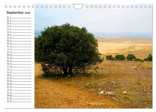 Produktbild: Jakobsweg - Camino Frances (Wandkalender 2026 DIN A4 quer), CALVENDO Monatskalender