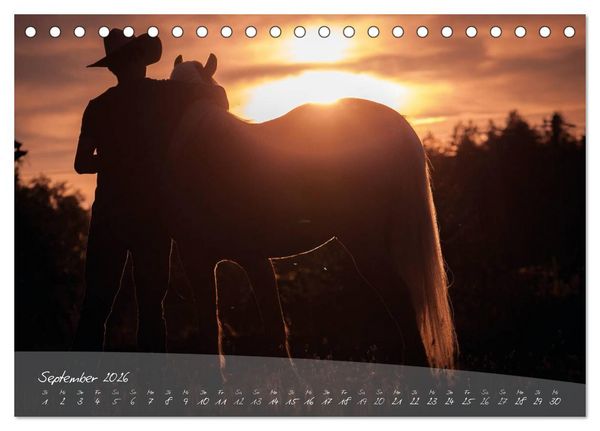 Produktbild: Haflinger-Pferde in Reinzucht (Tischkalender 2026 DIN A5 quer), CALVENDO Monatskalender