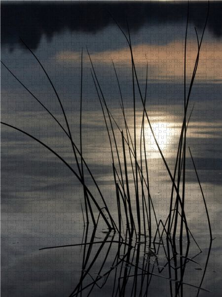 Produktbild: CALVENDO Puzzle Stille - Natur im Winterschlaf 1000 Teile Lege-Gr&ouml;&szlig;e 48 x 64 cm Foto-Puzzle Bild von Martina Marten