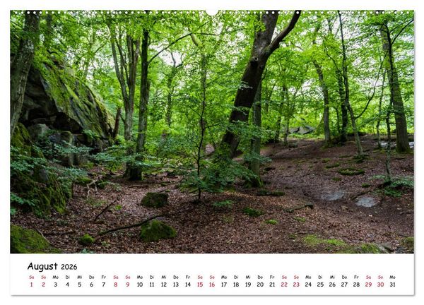 Produktbild: Bornholm 2026 Ein Jahr im Sommer (Wandkalender 2026 DIN A2 quer), CALVENDO Monatskalender