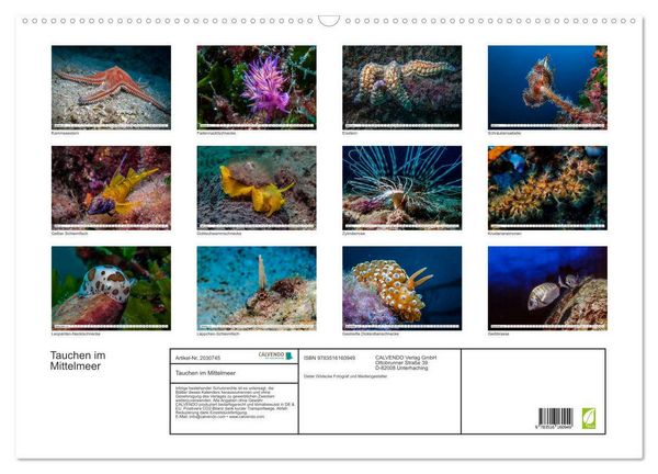 Produktbild: Tauchen im Mittelmeer (Wandkalender 2026 DIN A2 quer), CALVENDO Monatskalender