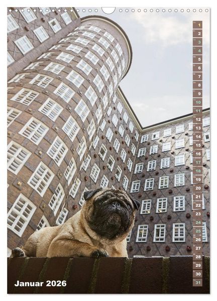 Produktbild: M&ouml;pse in Hamburg (Wandkalender 2026 DIN A3 hoch), CALVENDO Monatskalender