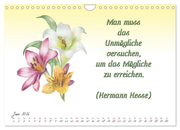 Produktbild: 12 unterhaltsame Zitate f&uuml;r ein sch&ouml;nes Jahr (Wandkalender 2026 DIN A4 quer), CALVENDO Monatskalender