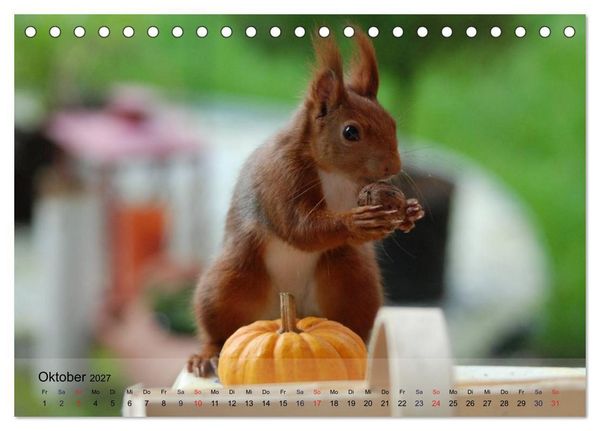 Produktbild: Spa&szlig; mit Eichh&ouml;rnchen! (Tischkalender 2027 DIN A5 quer), CALVENDO Monatskalender