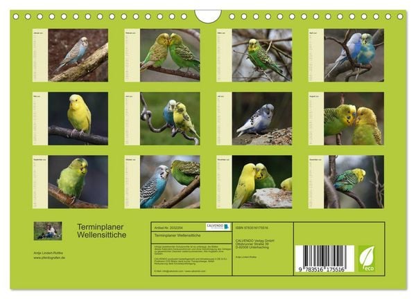 Produktbild: Terminplaner Wellensittiche (Wandkalender 2026 DIN A4 quer), CALVENDO Monatskalender