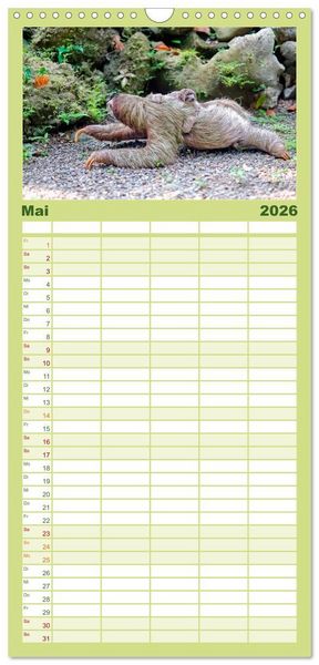 Produktbild: Familienplaner 2026 - Abh&auml;ngen - Faultier mit 5 Spalten (Wandkalender, 21 x 45 cm) CALVENDO