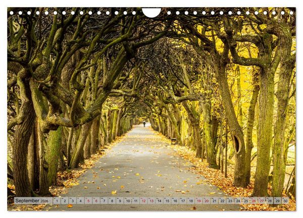 Produktbild: Dreistadt - Danzig, Gdingen, Zoppot (Wandkalender 2026 DIN A4 quer), CALVENDO Monatskalender