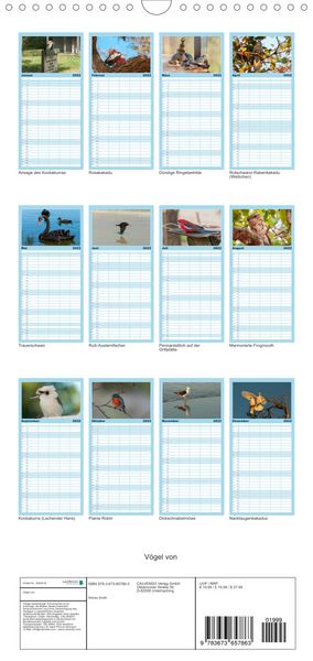 Produktbild: Familienplaner V&ouml;gel von "Down Under" Australien (Wandkalender 2022 , 21 cm x 45 cm, hoch)