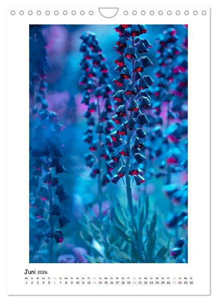 Produktbild: Blauer Bl&uuml;tenzauber (Wandkalender 2026 DIN A4 hoch), CALVENDO Monatskalender