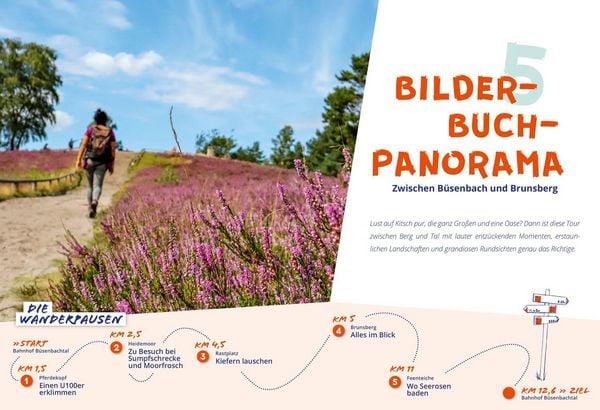 Produktbild: DUMONT Wanderzeit in der L&uuml;neburger Heide
