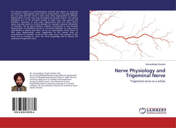 Produktbild: Nerve Physiology and Trigeminal Nerve
