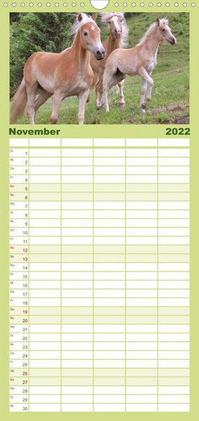 Produktbild: Familienplaner Alpenpferde (Wandkalender 2022 , 21 cm x 45 cm, hoch)