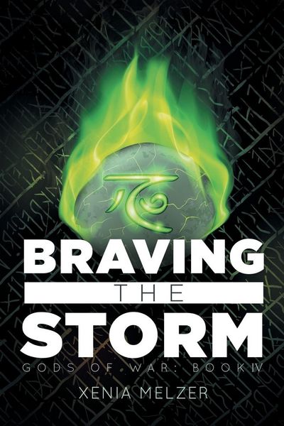 Produktbild: Braving the Storm