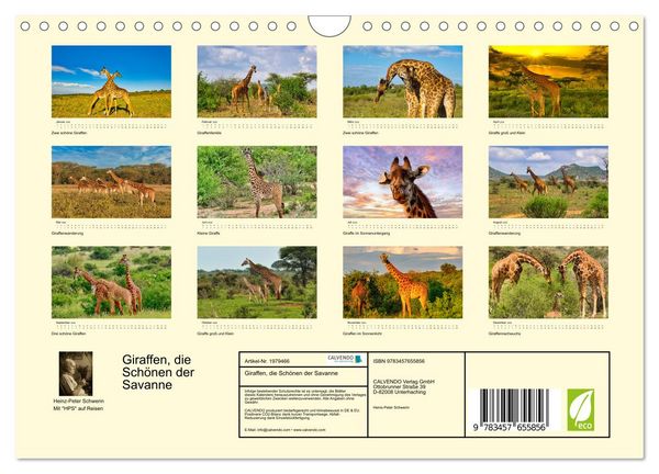 Produktbild: Giraffen, die Sch&ouml;nen der Savanne (Wandkalender 2026 DIN A4 quer), CALVENDO Monatskalender