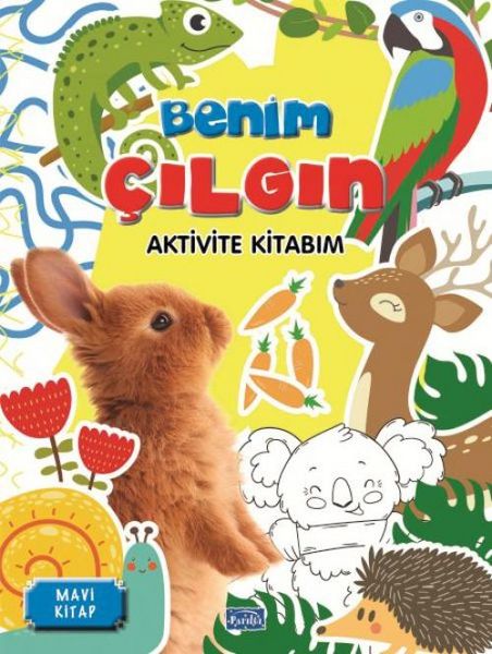 Produktbild: Benim Cilgin Aktivite Kitabim - Mavi Kitap