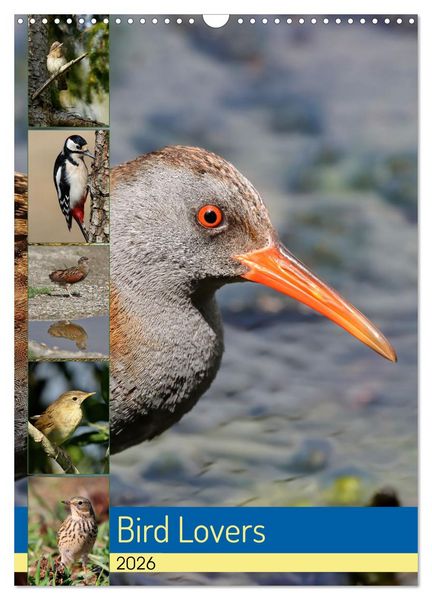 Bird Lovers (Wall Calendar 2026 DIN A3 portrait), CALVENDO 12 Month Wall Calendar
