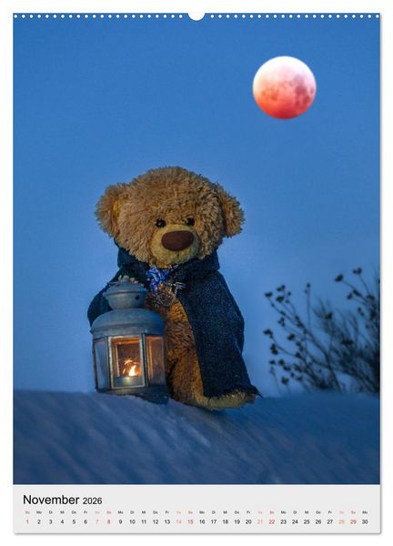 Produktbild: Travelling Teddy liebt es Bunt (Wandkalender 2026 DIN A2 hoch), CALVENDO Monatskalender