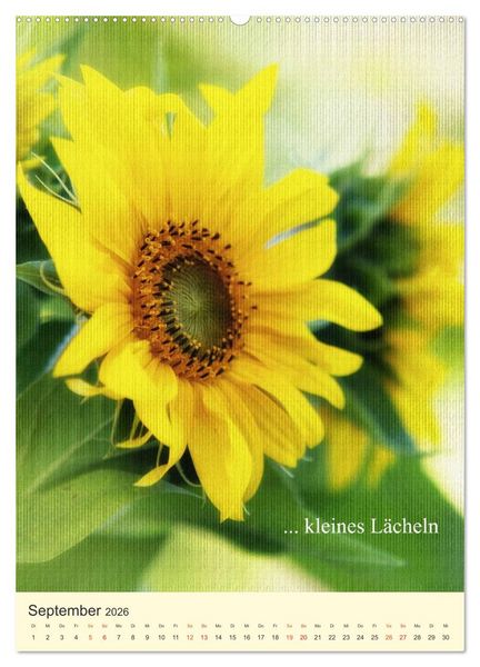 Produktbild: flowers (hochwertiger Premium Wandkalender 2026 DIN A2 hoch), Kunstdruck in Hochglanz