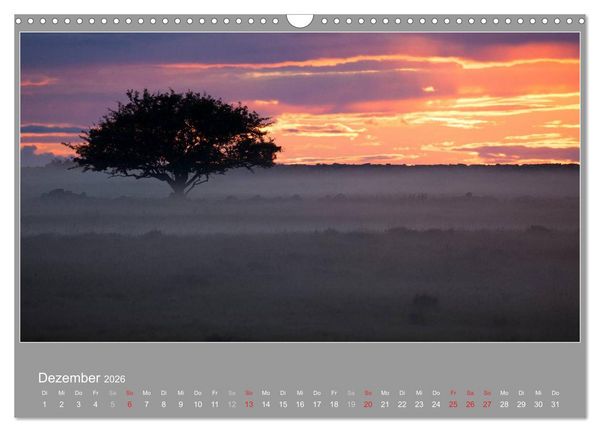 Produktbild: &Ouml;LAND - Besuch im etwas anderen Schweden 2026 (Wandkalender 2026 DIN A3 quer), CALVENDO Monatskalender