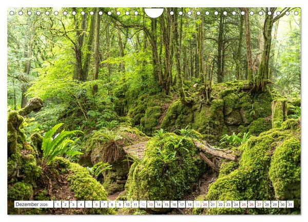 Produktbild: Faszination Naturwunder (Wandkalender 2026 DIN A4 quer), CALVENDO Monatskalender