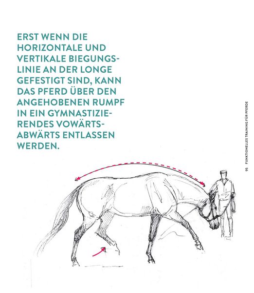 Produktbild: Die Kraft der Diagonalen