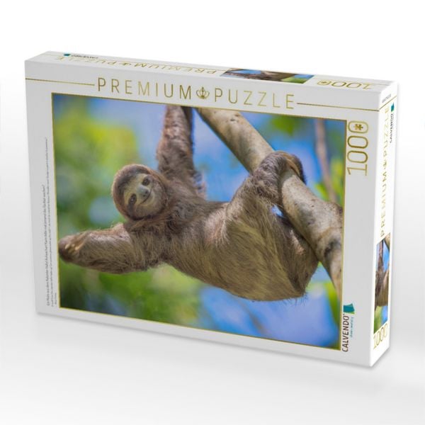 Produktbild: CALVENDO Puzzle Ein Motiv aus dem Kalender Hallo! Aufwachen! Kann bitte mal jemand das Faultier wecken? | 1000 Teile Lege-Gr&ouml;&szlig;e 64x48cm Foto-Puzzle f&uuml;