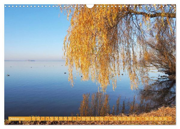 Produktbild: Traumhaftes Steinhuder Meer (Wandkalender 2026 DIN A3 quer), CALVENDO Monatskalender
