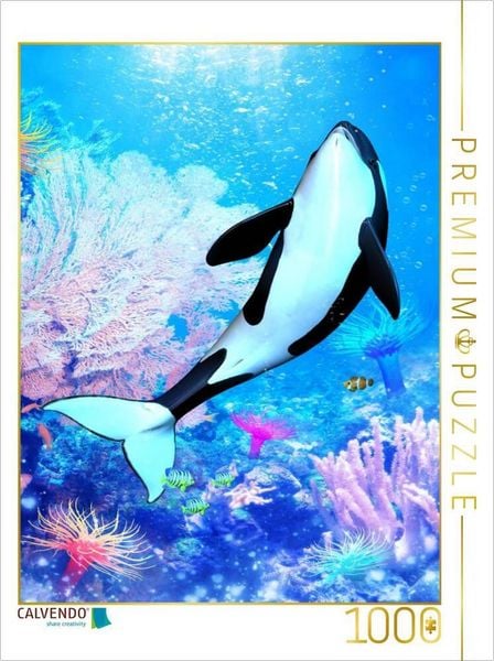 CALVENDO Puzzle Orka 3 | 1000 Teile Lege-Größe 64x48cm Foto-Puzzle für glückliche Stunden