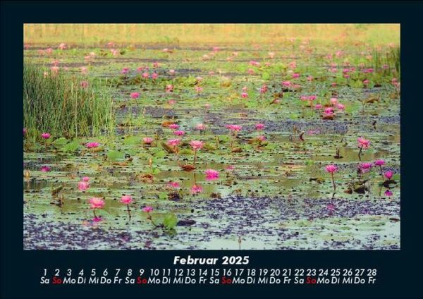 Produktbild: Rosentraum 2025 Fotokalender DIN A5