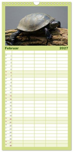 Produktbild: Familienplaner 2027 - Das Leben der Schildkr&ouml;ten mit 5 Spalten (Wandkalender, 21 x 45 cm) CALVENDO