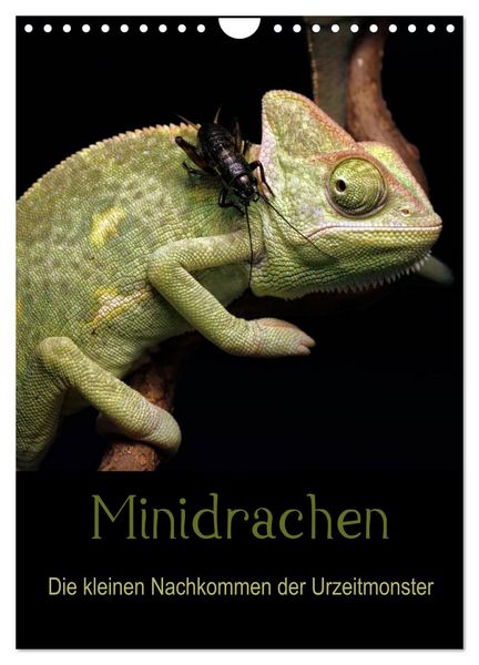 Produktbild: Minidrachen - Die kleinen Nachkommen der Urzeitmonster (Wandkalender 2026 DIN A4 hoch), CALVENDO Monatskalender