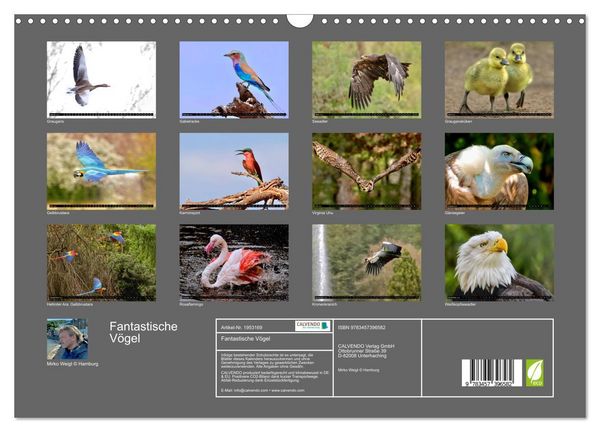 Produktbild: Fantastische V&ouml;gel (Wandkalender 2026 DIN A3 quer), CALVENDO Monatskalender