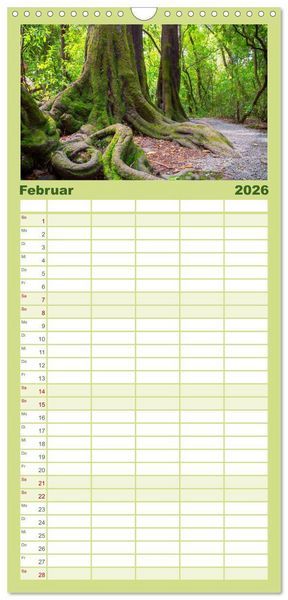 Produktbild: Familienplaner 2026 - Traumhafte Wege - Unterwegs auf Neuseelands S&uuml;dinsel mit 5 Spalten (Wandkalender, 21 x 45 cm) CALVENDO