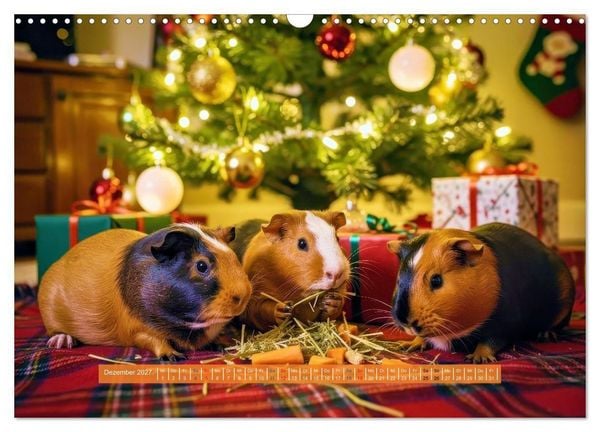 Produktbild: Kleine s&uuml;&szlig;e Meerschweinchen (Wandkalender 2027 DIN A3 quer), CALVENDO Monatskalender