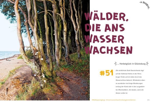 Produktbild: 52 kleine & gro&szlig;e Eskapaden in Schleswig-Holstein an der Ostsee