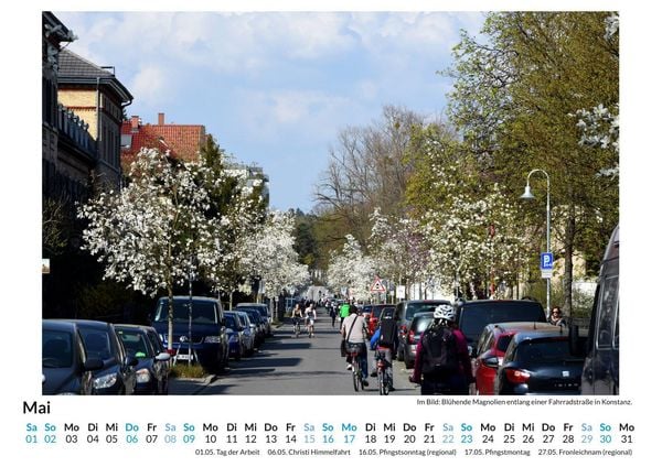 Produktbild: Bodensee-Radweg