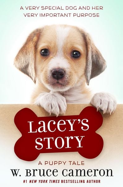 Produktbild: Lacey's Story