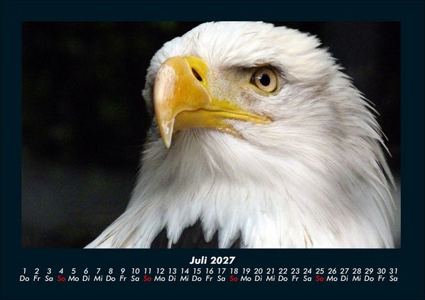 Produktbild: Adler 2027 Fotokalender DIN A4