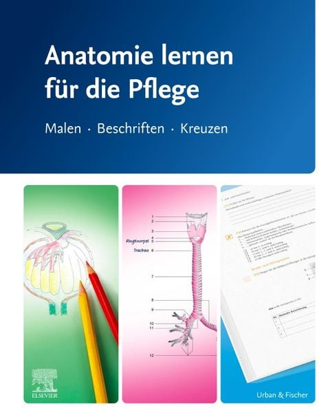 Produktbild: Anatomie lernen f&uuml;r die Pflege