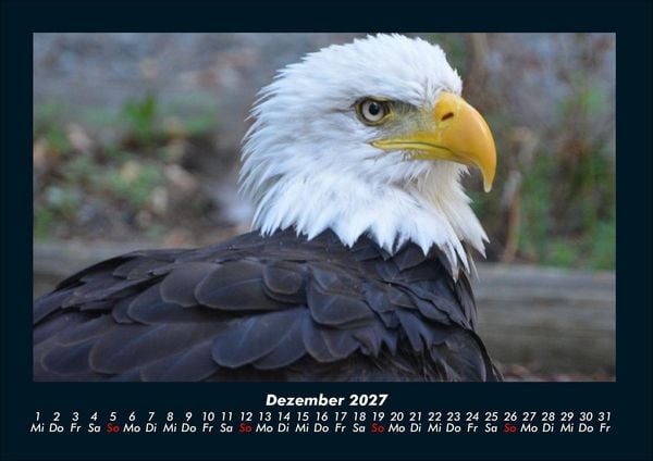 Produktbild: Welt der V&ouml;gel 2027 Fotokalender DIN A4