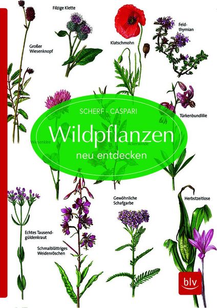 Produktbild: Wildpflanzen neu entdecken