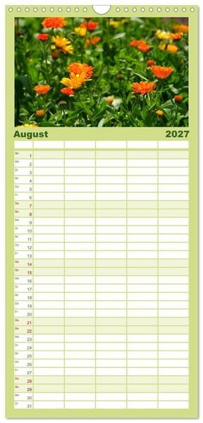 Produktbild: Familienplaner 2027 - Arzneipflanzen mit 5 Spalten (Wandkalender, 21 x 45 cm) CALVENDO